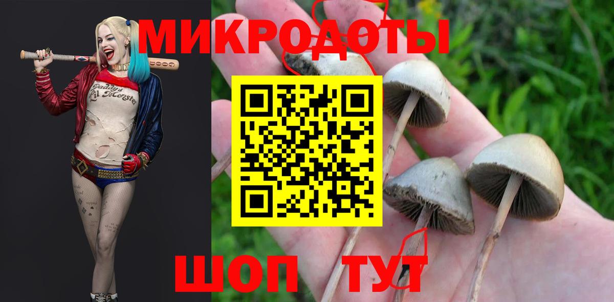 Псилоцибиновые грибы Psilocybe  Псилоцибиновые грибы прущие грибы  Вход с VPN  купить  сайты  Юрга 